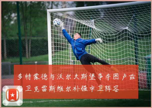 多特蒙德与沃尔夫斯堡争夺图卢兹后卫克雷斯维尔补强中卫阵容